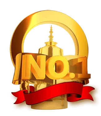 No.1 industry recognition award